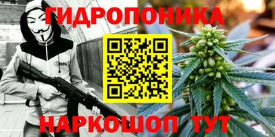 ГАЛЛЮЦИНОГЕННЫЕ ГРИБЫ Кунгур