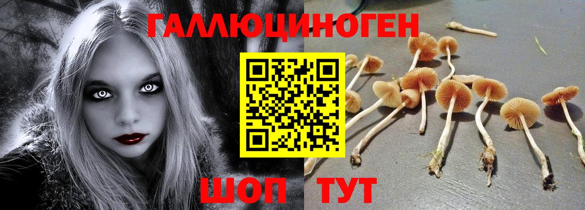 закладка  Вход с VPN  Каменка  Псилоцибиновые грибы прущие грибы 
