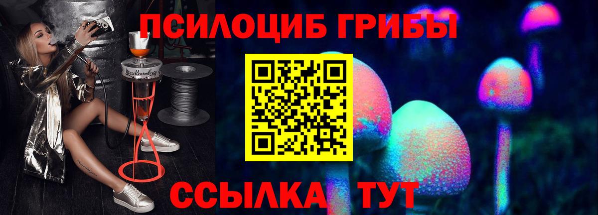 Псилоцибиновые грибы GOLDEN TEACHER Каменка